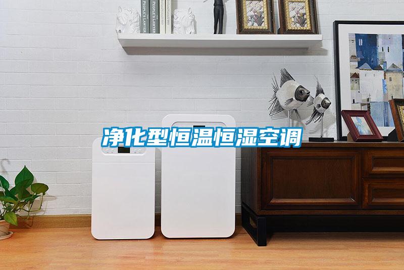 净化型恒温恒湿空调
