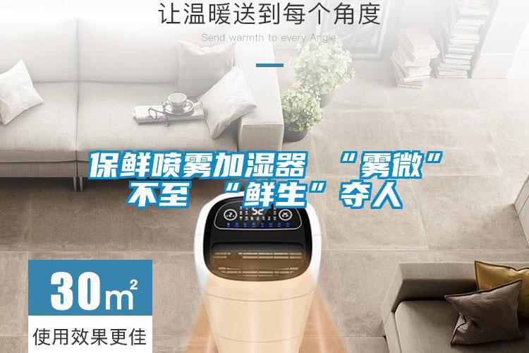 保鲜喷雾加湿器 “雾微”不至 “鲜生”夺人