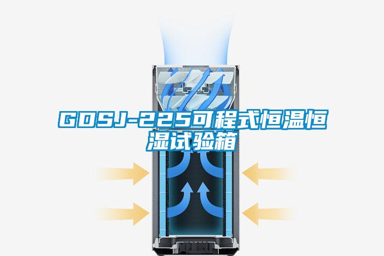 GDSJ-225可程式恒温恒湿试验箱