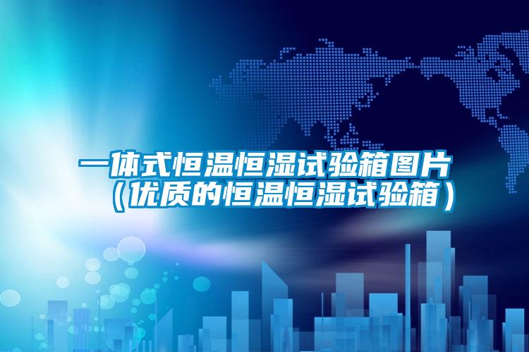 一体式恒温恒湿试验箱图片（优质的恒温恒湿试验箱）