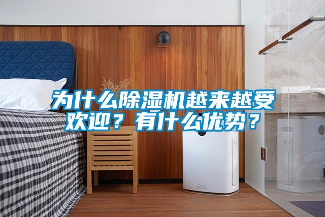 为什么除湿机越来越受欢迎？有什么优势？