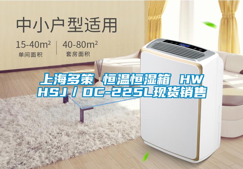 上海多策 恒温恒湿箱 HWHSJ／DC-225L现货销售