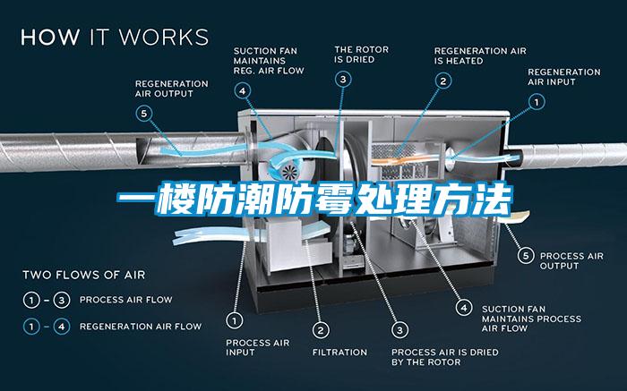 一楼防潮防霉处理方法