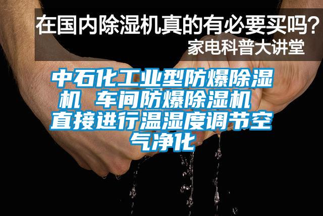 中石化工业型防爆除湿机 车间防爆除湿机 直接进行温湿度调节空气净化
