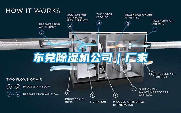 东莞除湿机公司｜厂家