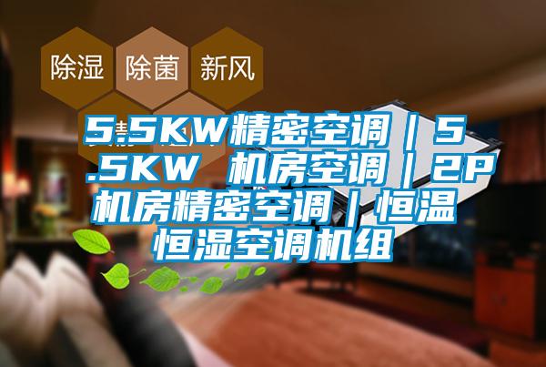 5.5KW精密空调｜5.5KW 机房空调｜2P机房精密空调｜恒温恒湿空调机组