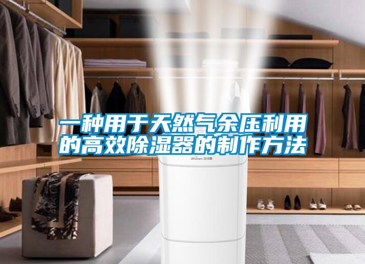 一种用于天然气余压利用的高效除湿器的制作方法