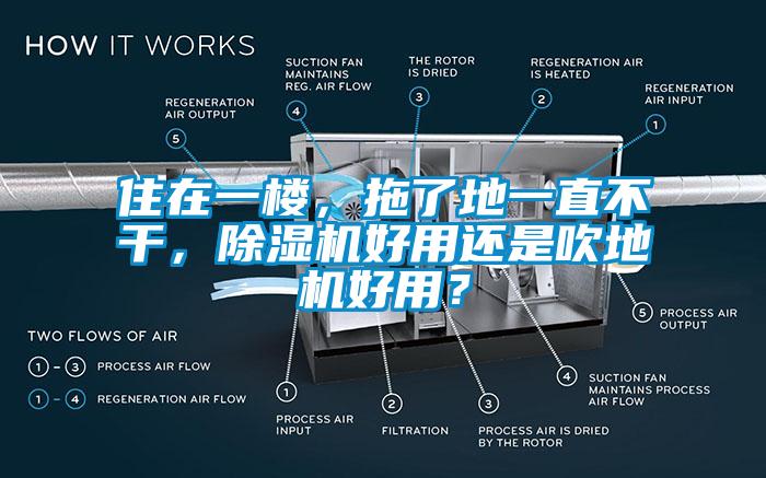 住在一楼，拖了地一直不干，除湿机好用还是吹地机好用？