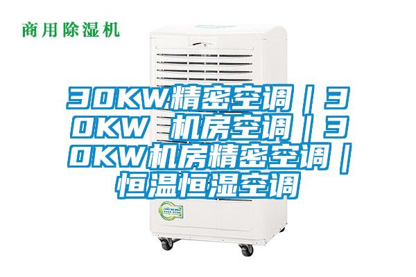 30KW精密空调｜30KW 机房空调｜30KW机房精密空调｜恒温恒湿空调