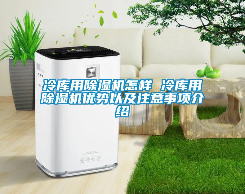 冷库用除湿机怎样 冷库用除湿机优势以及注意事项介绍