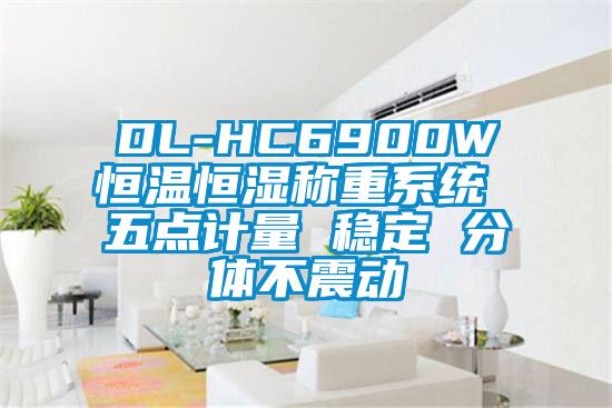DL-HC6900W恒温恒湿称重系统 五点计量 稳定 分体不震动