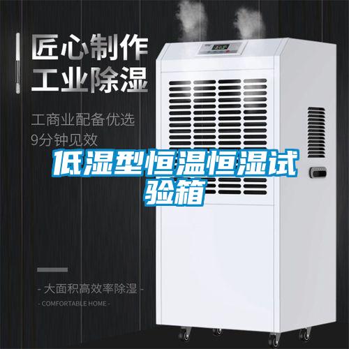 低湿型恒温恒湿试验箱