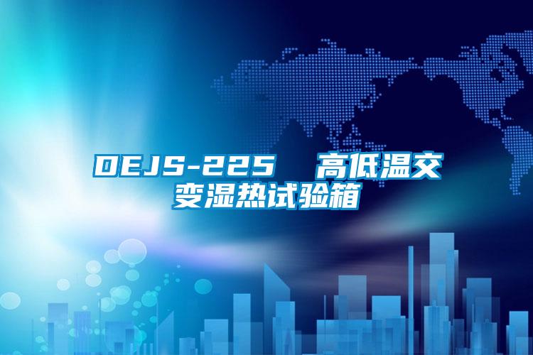 DEJS-225  高低温交变湿热试验箱