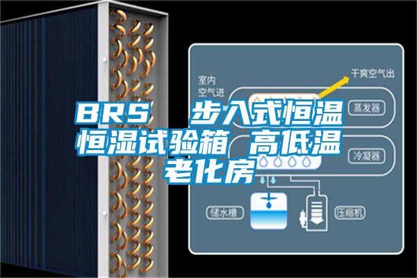 BRS  步入式恒温恒湿试验箱 高低温老化房