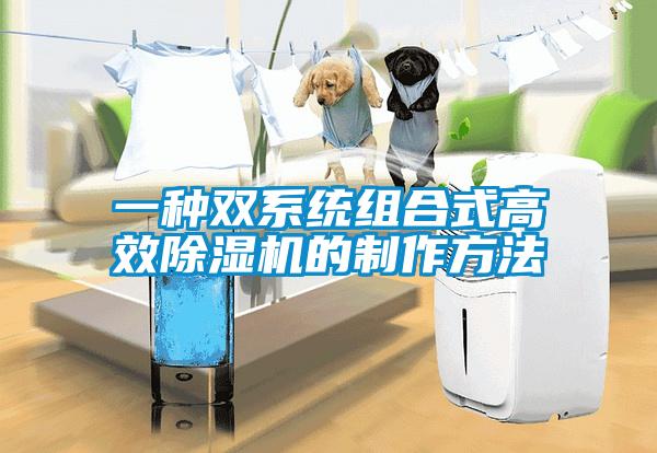 一种双系统组合式高效除湿机的制作方法