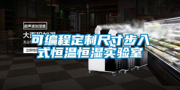 可编程定制尺寸步入式恒温恒湿实验室