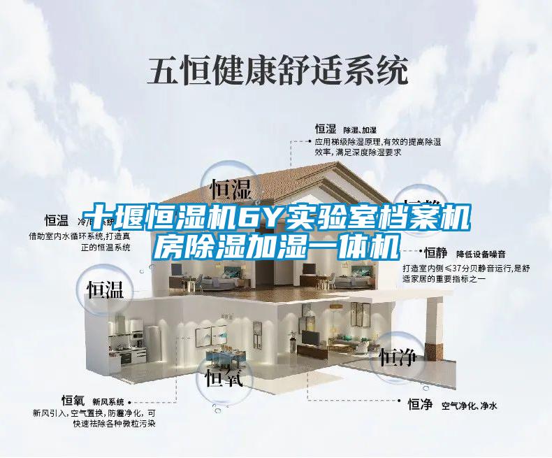 十堰恒湿机6Y实验室档案机房除湿加湿一体机