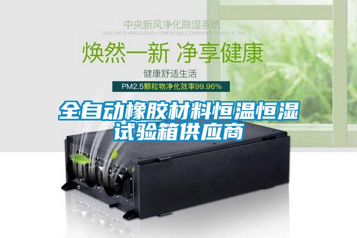 全自动橡胶材料恒温恒湿试验箱供应商
