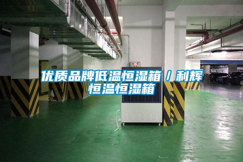 优质品牌低温恒湿箱／利辉恒温恒湿箱