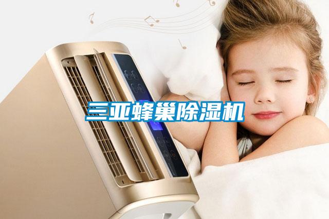 三亚蜂巢除湿机