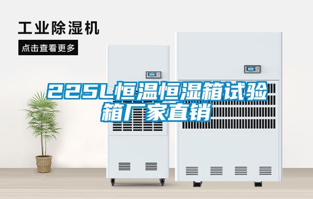 225L恒温恒湿箱试验箱厂家直销