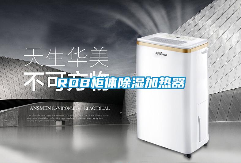 RDB柜体除湿加热器