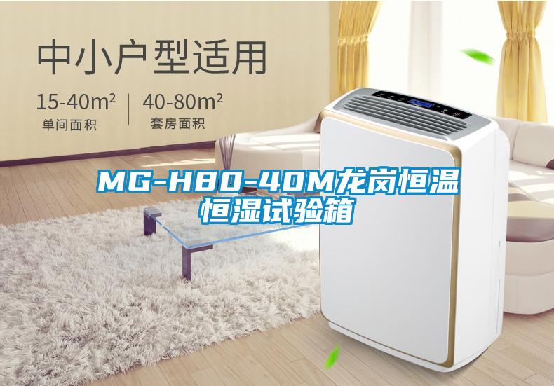 MG-H80-40M龙岗恒温恒湿试验箱