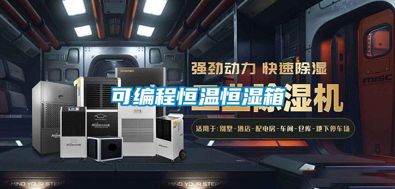 可编程恒温恒湿箱