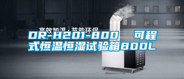 DR-H201-800  可程式恒温恒湿试验箱800L