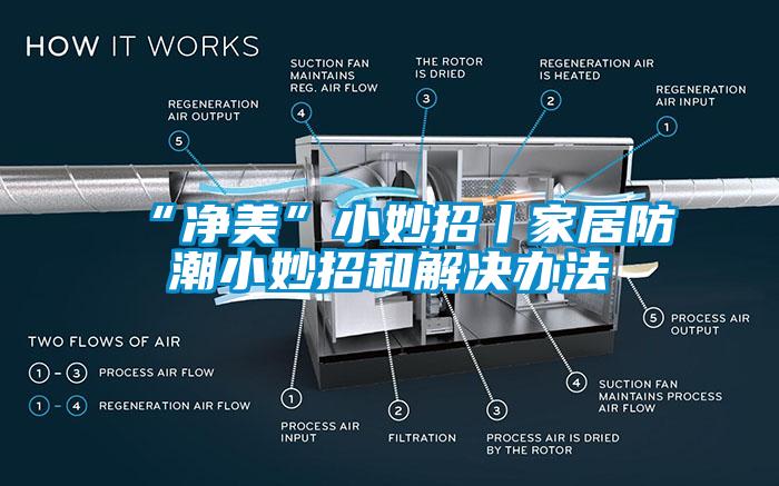 “净美”小妙招丨家居防潮小妙招和解决办法
