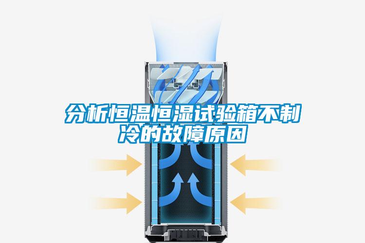 分析恒温恒湿试验箱不制冷的故障原因