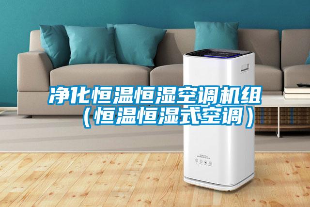 净化恒温恒湿空调机组（恒温恒湿式空调）