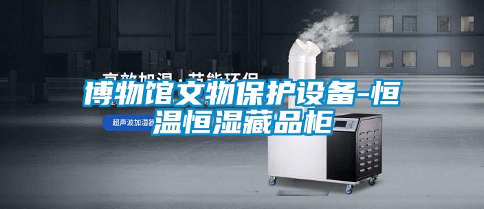 博物馆文物保护设备-恒温恒湿藏品柜
