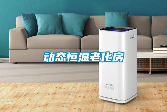 动态恒温老化房