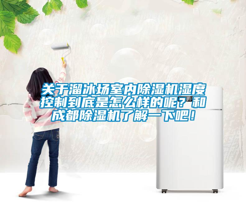 关于溜冰场室内除湿机湿度控制到底是怎么样的呢？和成都除湿机了解一下吧！