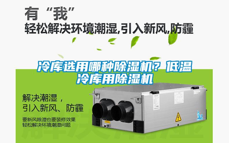 冷库选用哪种除湿机？低温冷库用除湿机