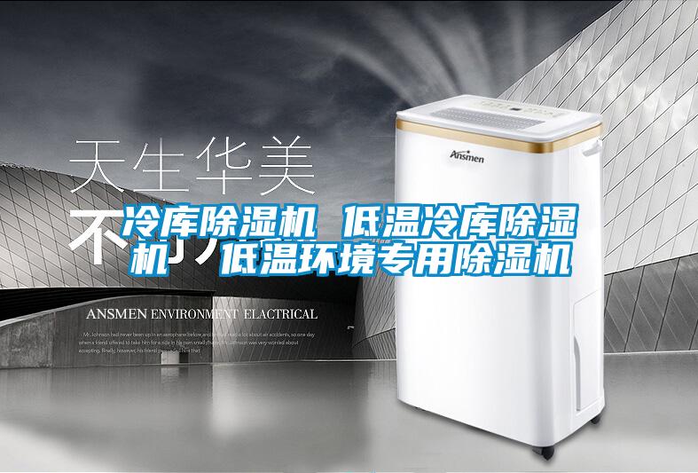 冷库除湿机 低温冷库除湿机  低温环境专用除湿机