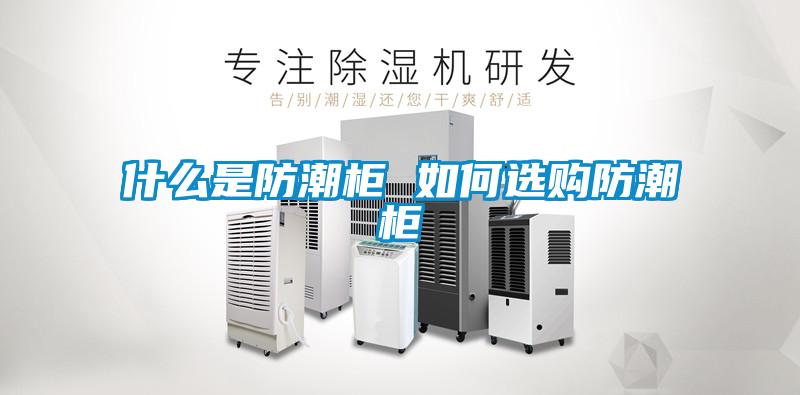 什么是防潮柜 如何选购防潮柜