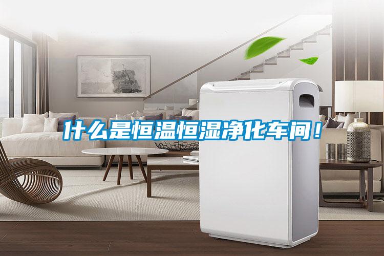什么是恒温恒湿净化车间！