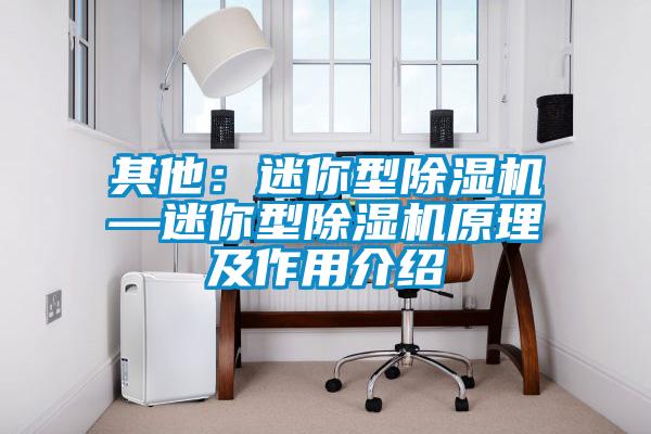 其他：迷你型除湿机—迷你型除湿机原理及作用介绍