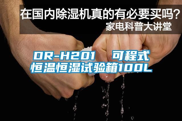 DR-H201  可程式恒温恒湿试验箱100L
