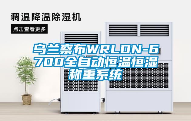 乌兰察布WRLDN-6700全自动恒温恒湿称重系统