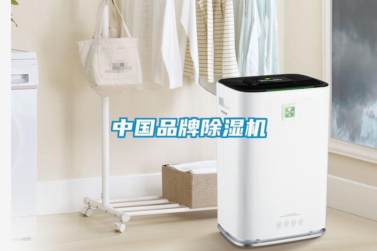 中国品牌除湿机