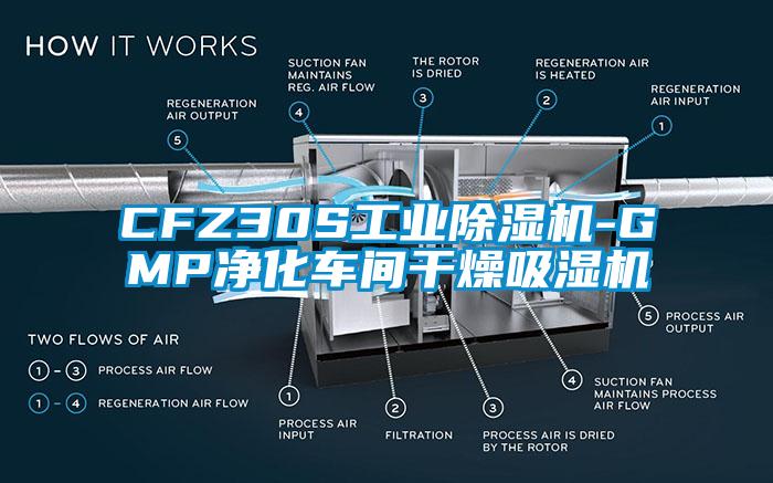 CFZ30S工业除湿机-GMP净化车间干燥吸湿机