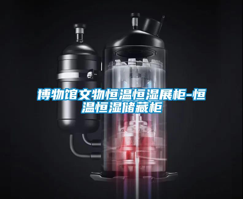 博物馆文物恒温恒湿展柜-恒温恒湿储藏柜