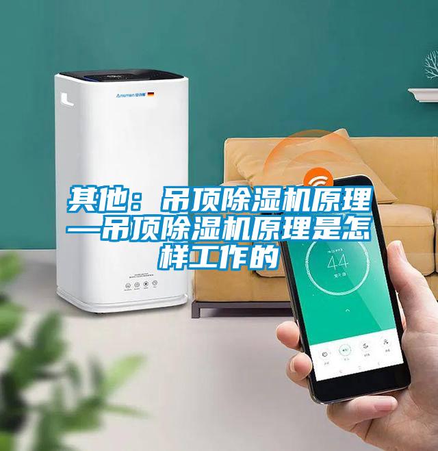 其他：吊顶除湿机原理—吊顶除湿机原理是怎样工作的