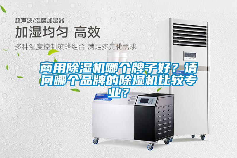 商用除湿机哪个牌子好？请问哪个品牌的除湿机比较专业？