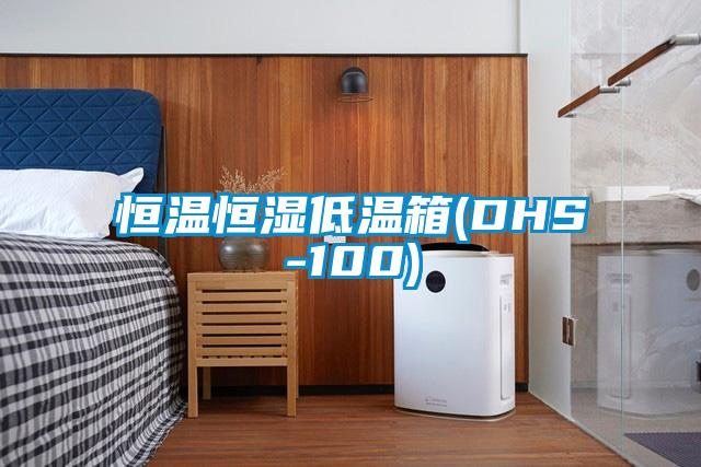 恒温恒湿低温箱(DHS-100)