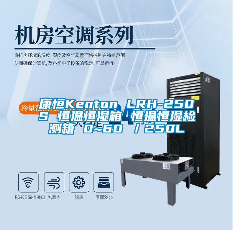 康恒Kenton LRH-250S 恒温恒湿箱 恒温恒湿检测箱 0~60℃／250L