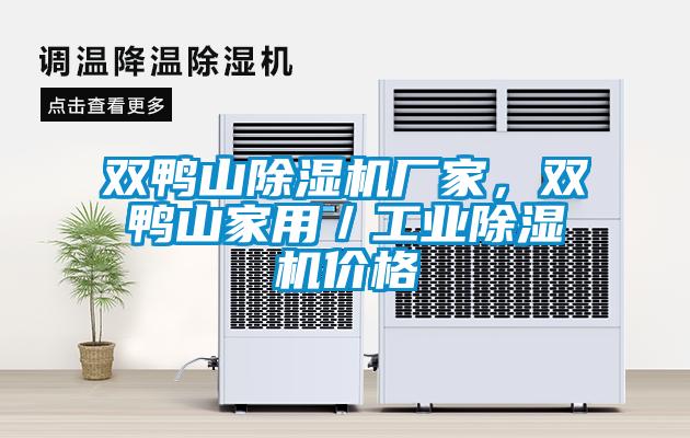 双鸭山除湿机厂家，双鸭山家用／工业除湿机价格